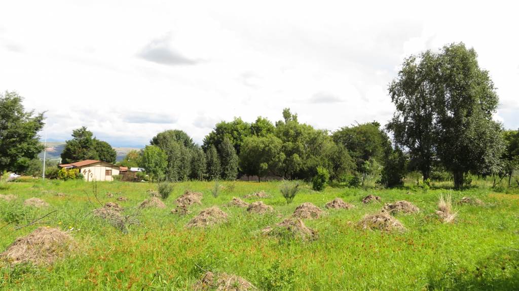 1338 m² Land available in Fouriesburg photo number 10