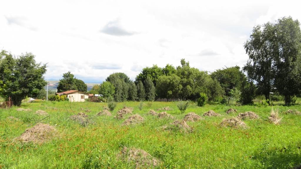 1338 m² Land available in Fouriesburg photo number 9