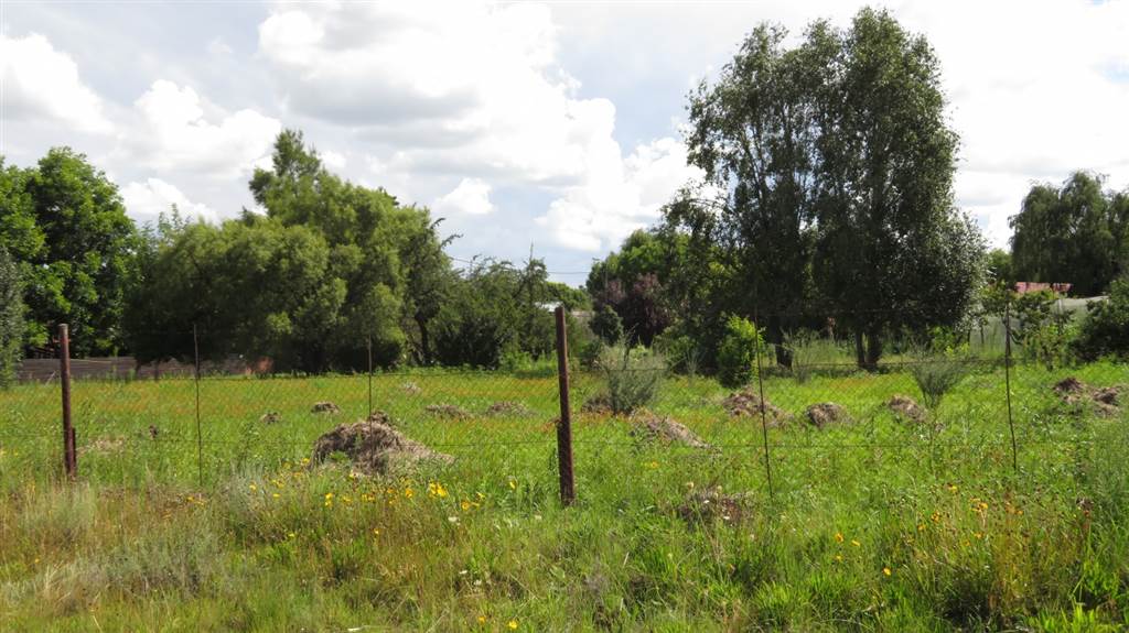 1338 m² Land available in Fouriesburg photo number 7
