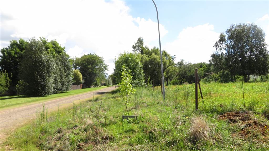 1338 m² Land available in Fouriesburg photo number 13