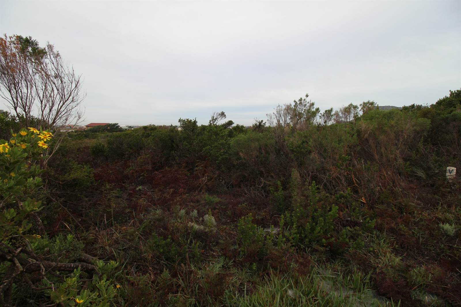 4784 m² Land available in Bettys Bay photo number 11