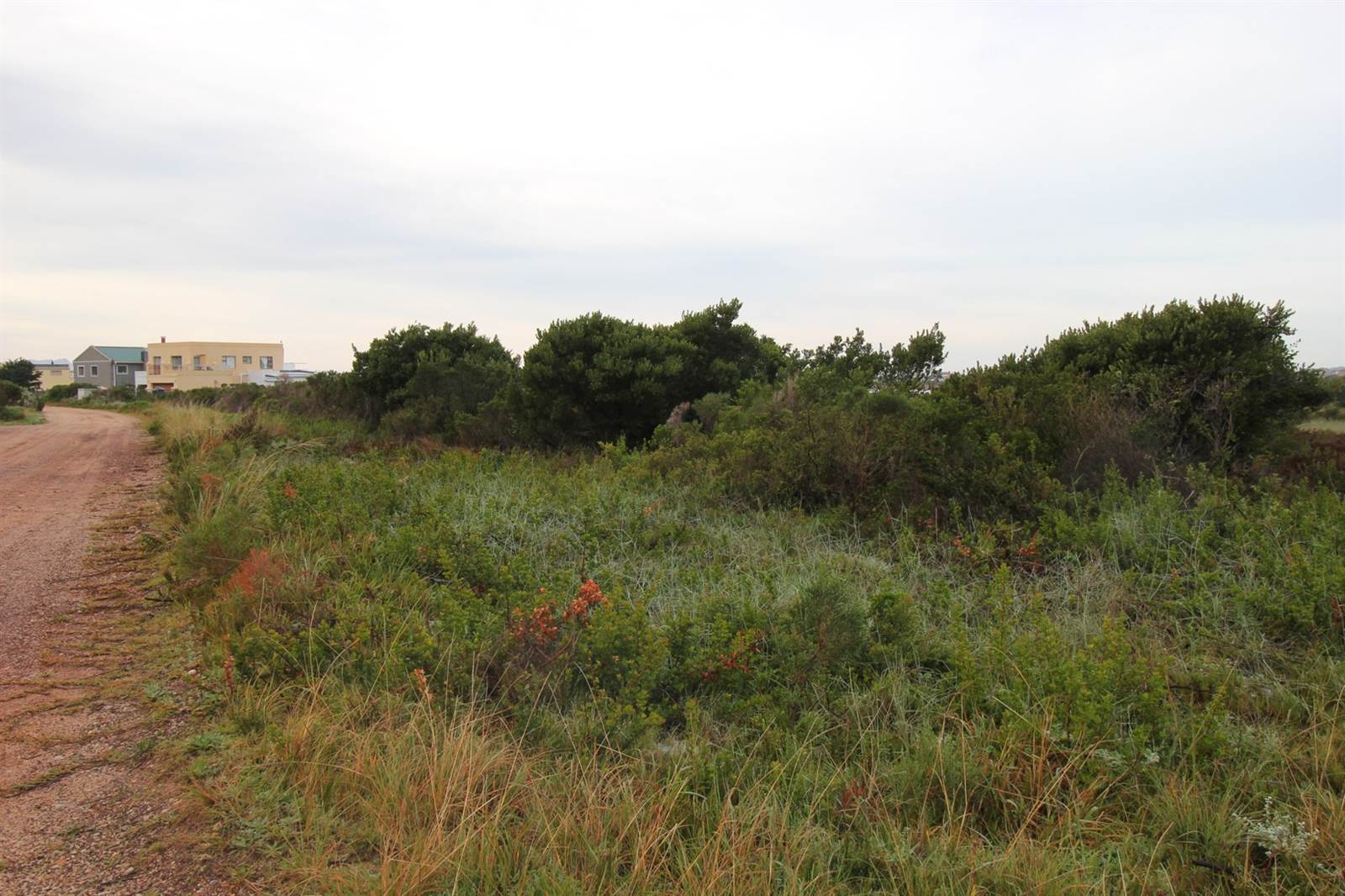 4784 m² Land available in Bettys Bay photo number 8