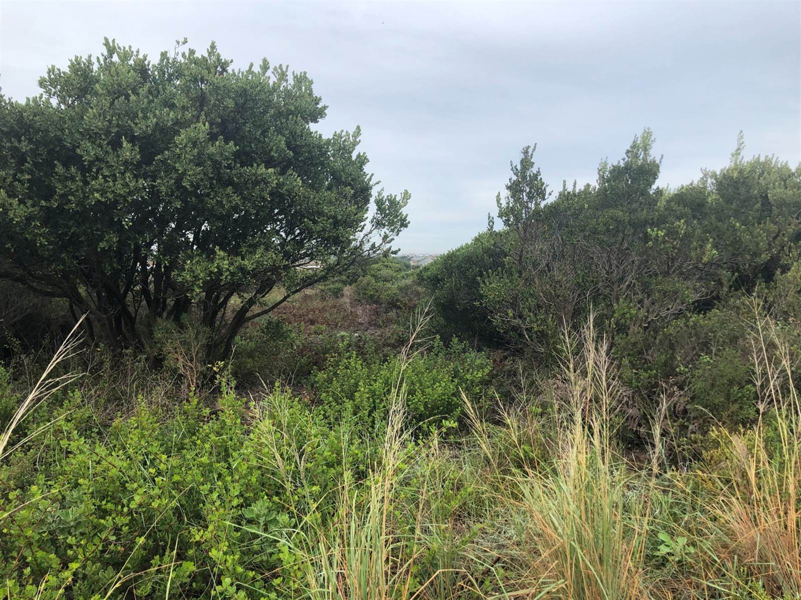 4784 m² Land available in Bettys Bay photo number 5
