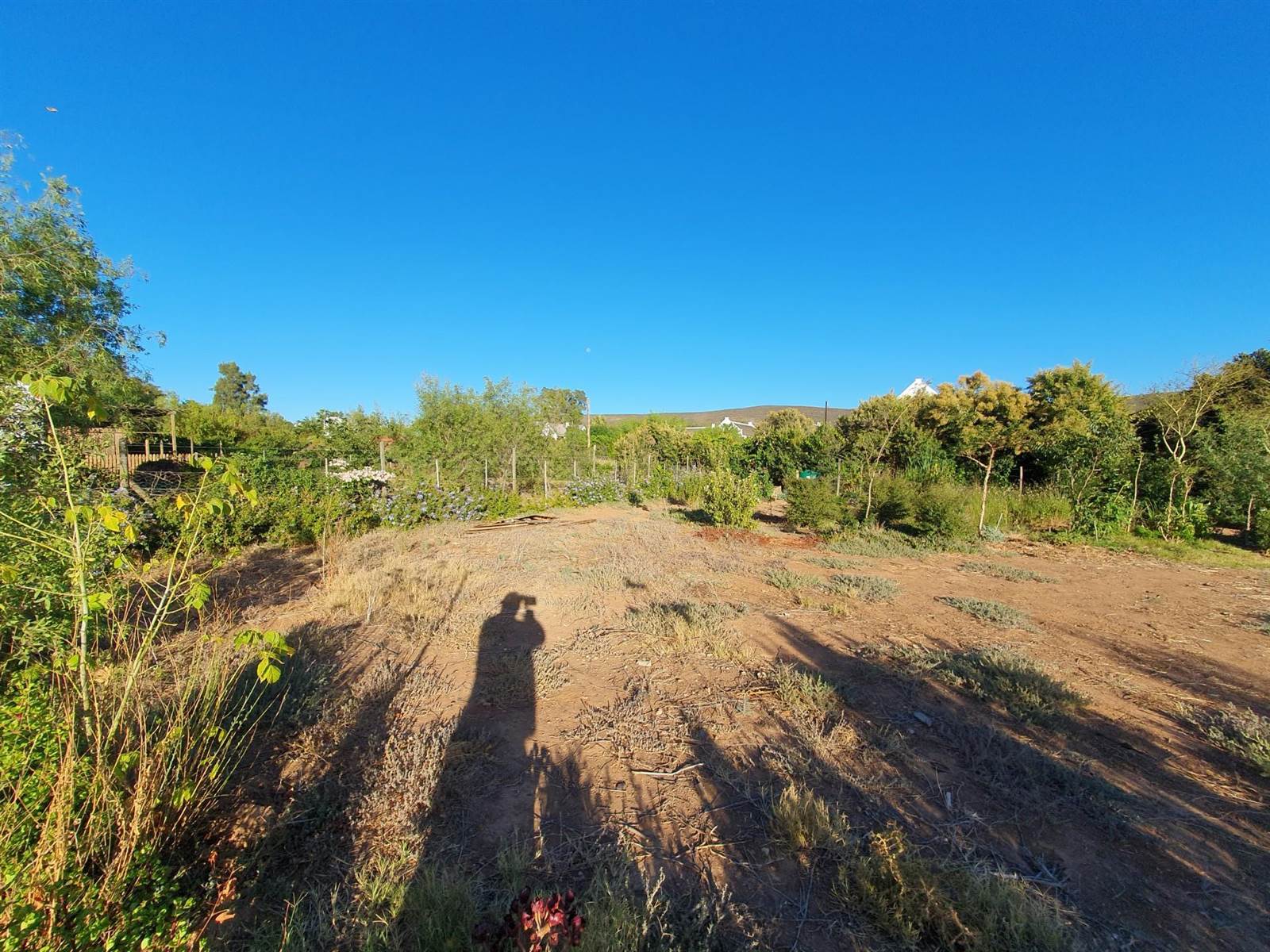 999 m² Land available in McGregor photo number 6
