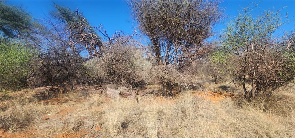 1308 m² Land available in Kathu photo number 7