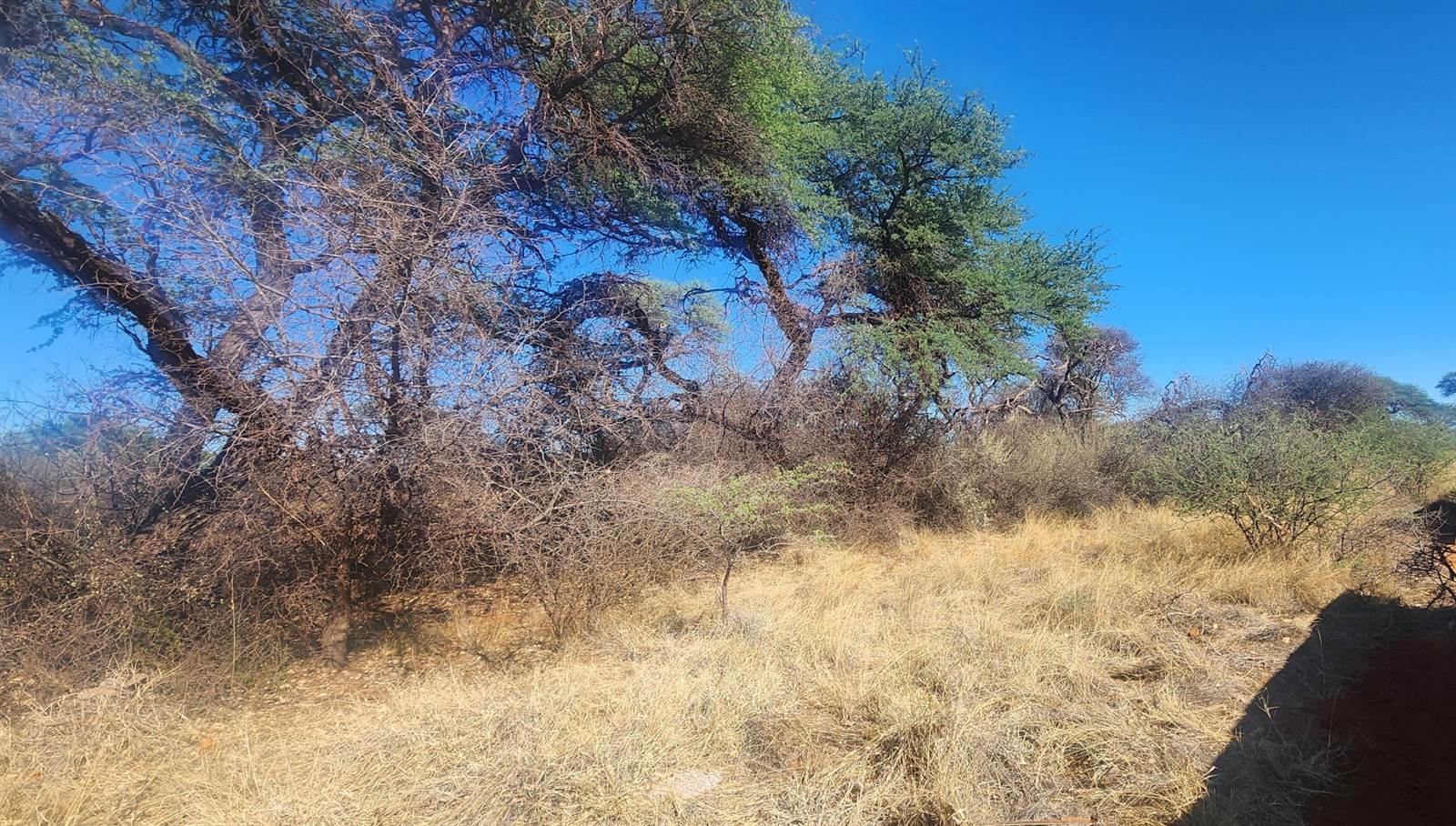1308 m² Land available in Kathu photo number 6