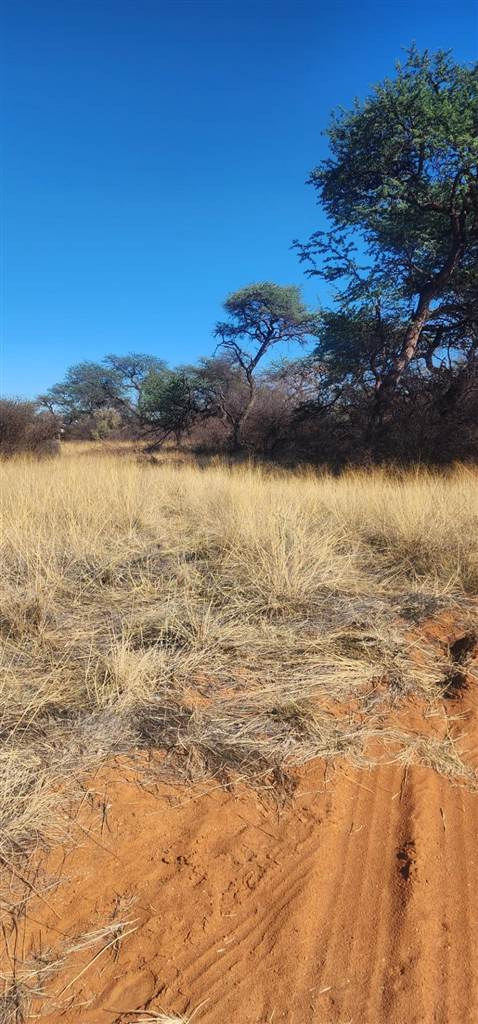 1308 m² Land available in Kathu photo number 5