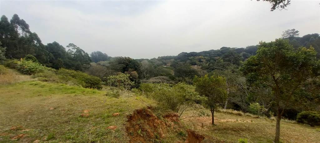2.4 ha Land available in Everton photo number 19