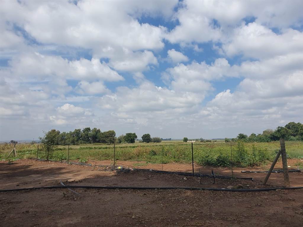 85 ha Farm in Potchefstroom Central photo number 11