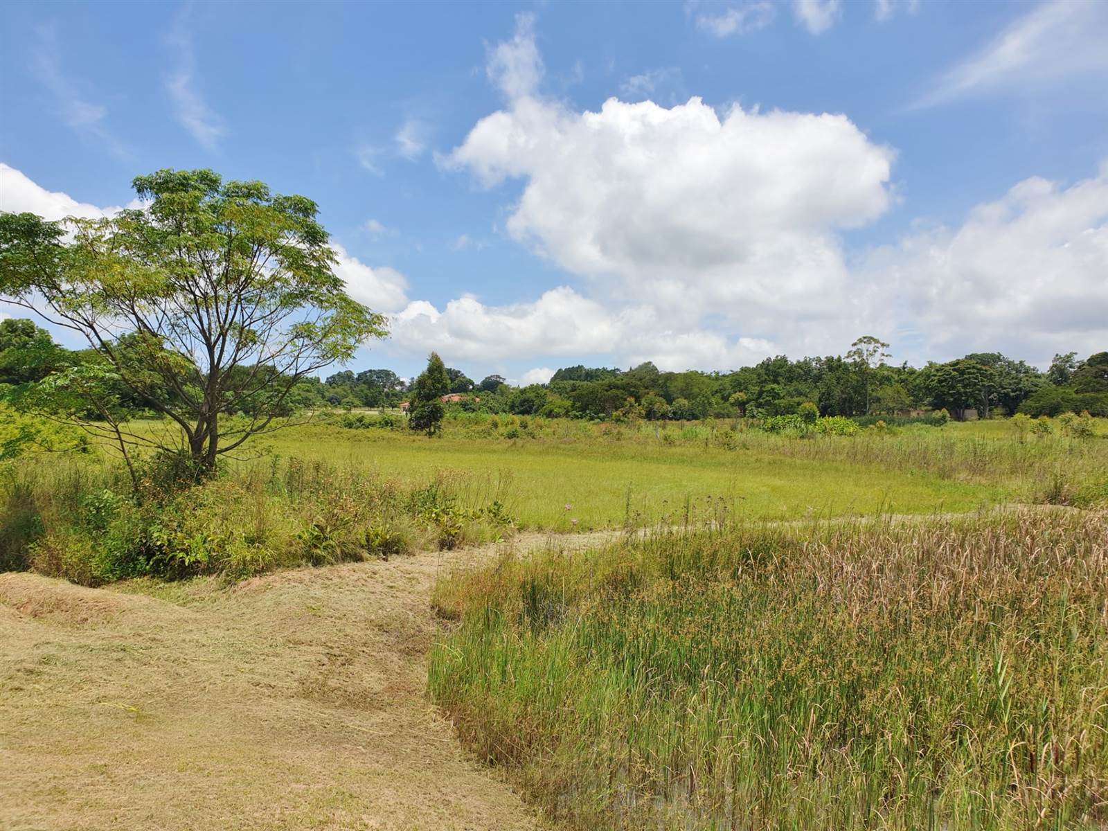 1.1 ha Land available in White River AH photo number 17
