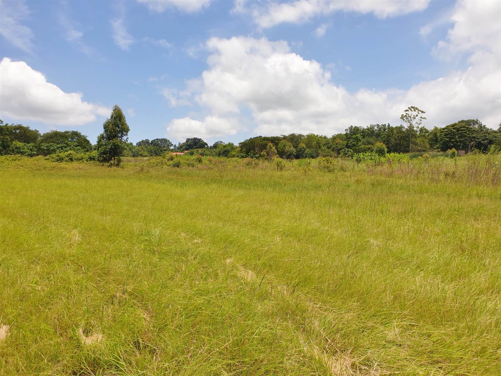 1.1 ha Land available in White River AH photo number 11