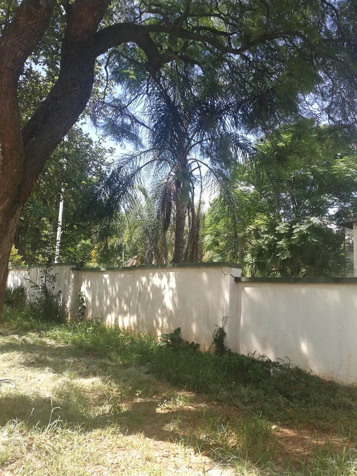 1771 m² Land available in Hatfield photo number 7