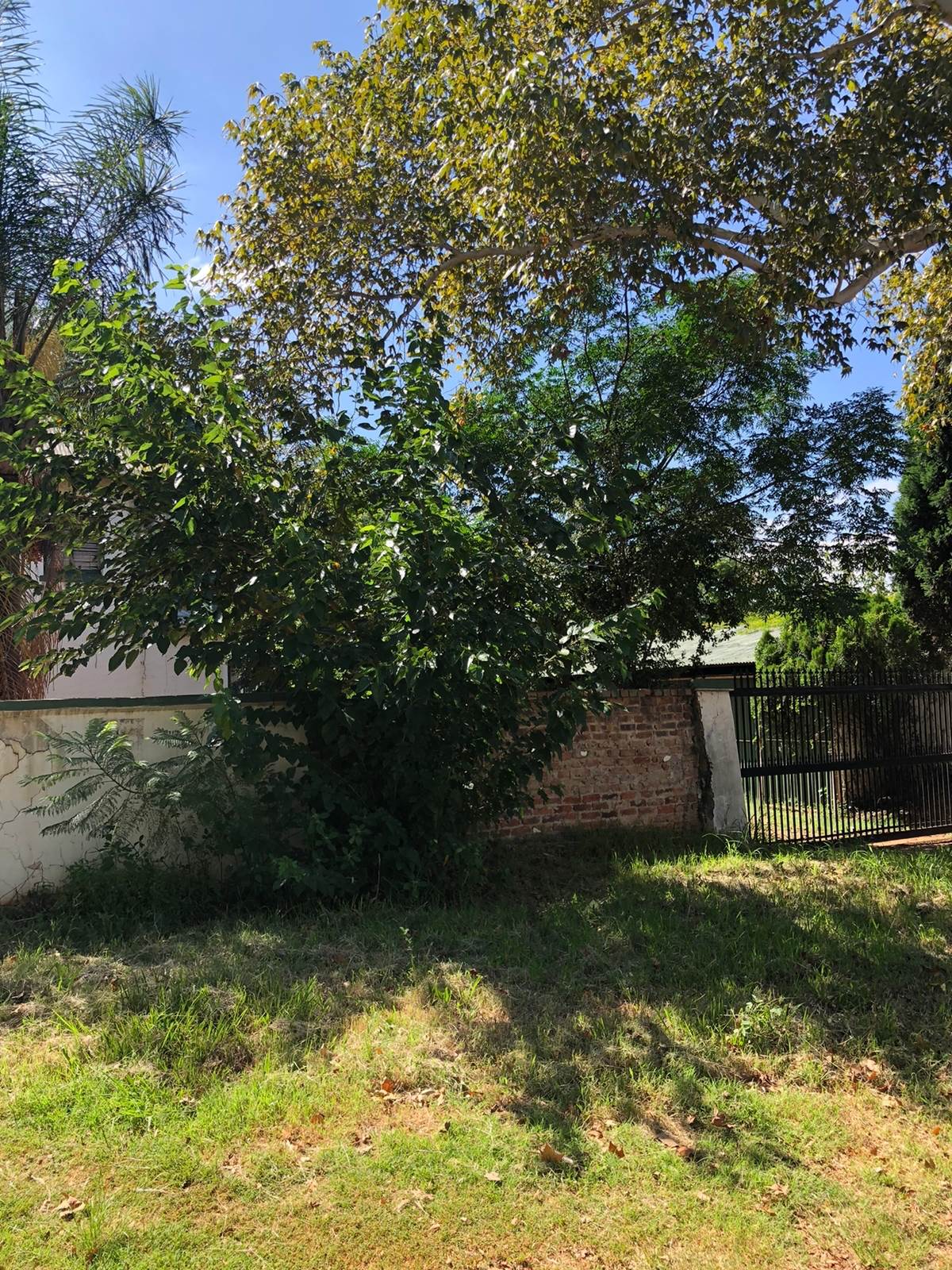 1771 m² Land available in Hatfield photo number 11