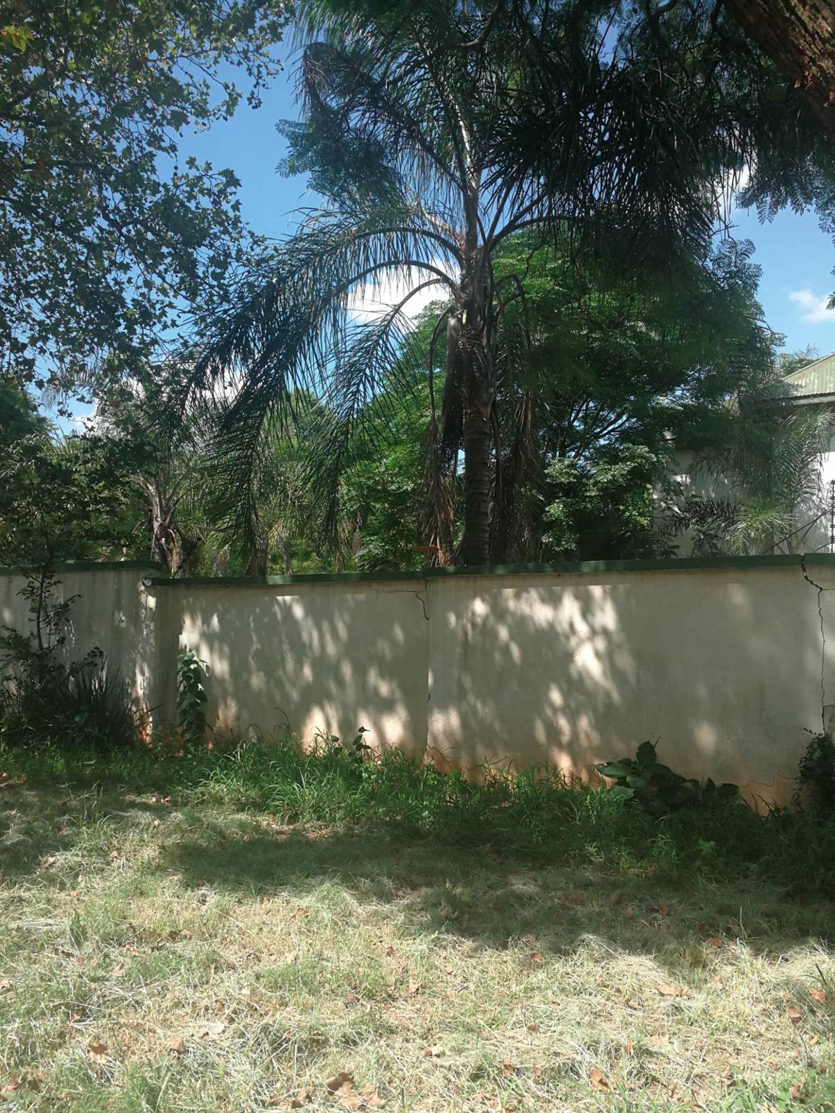 1771 m² Land available in Hatfield photo number 6