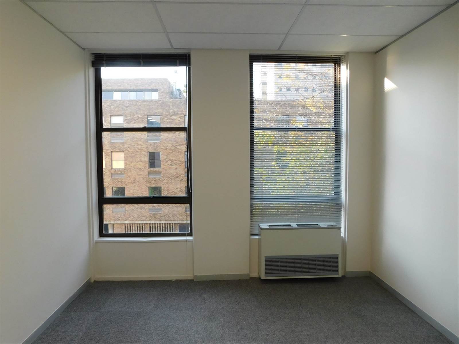 2001  m² Office Space in Rosebank photo number 9