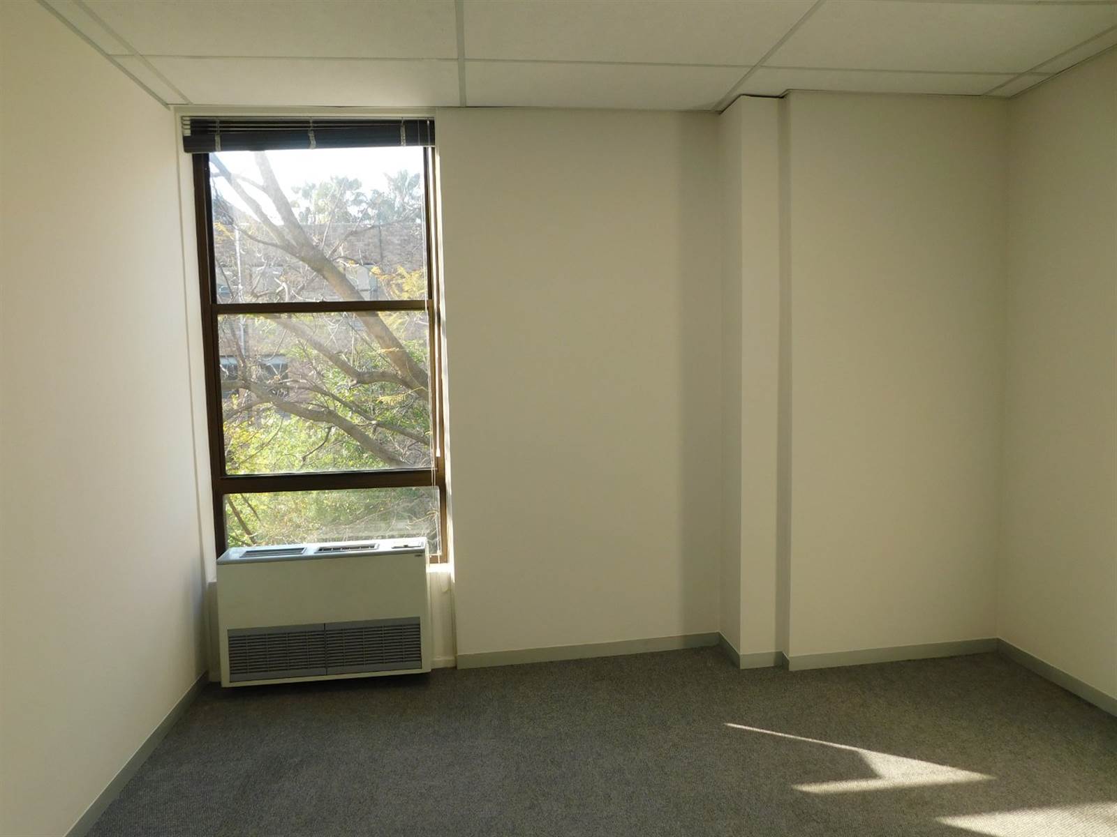 2001  m² Office Space in Rosebank photo number 11