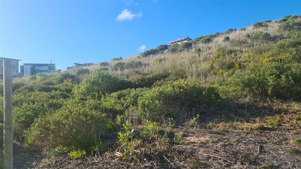 687 m² Land available in Stilbaai photo number 3