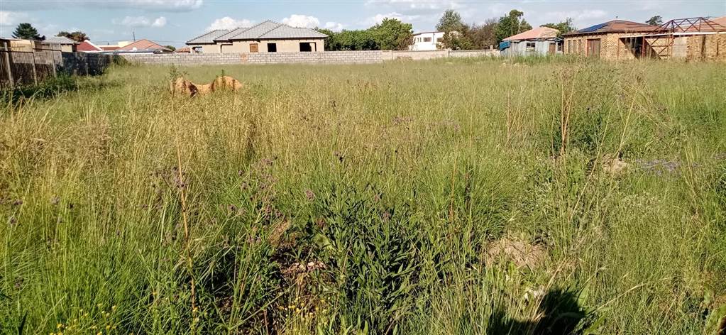 881 m² Land available in Jameson Park photo number 4