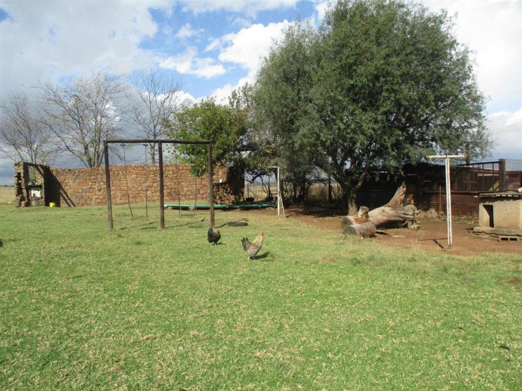 23 ha Farm in Witbank Central photo number 4