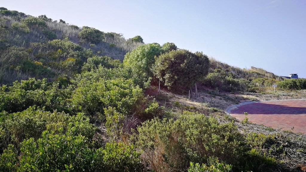 444 m² Land available in Stilbaai photo number 6