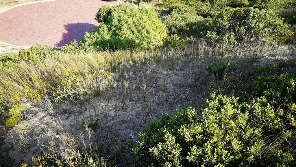 444 m² Land available in Stilbaai photo number 4