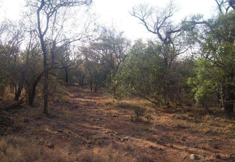 1.4 ha Land available in Hoedspruit photo number 10