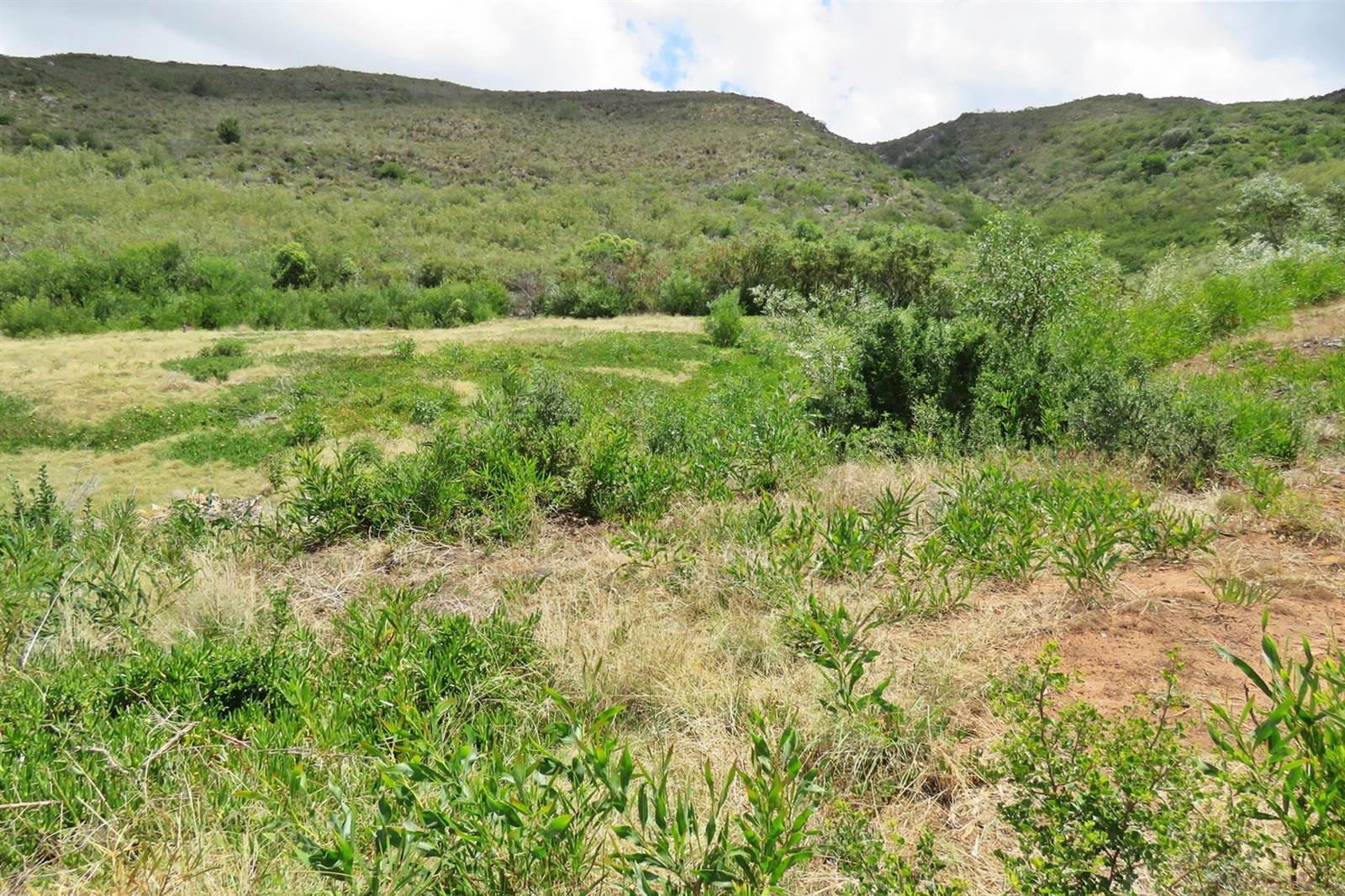 1.1 ha Land available in Bredasdorp photo number 5