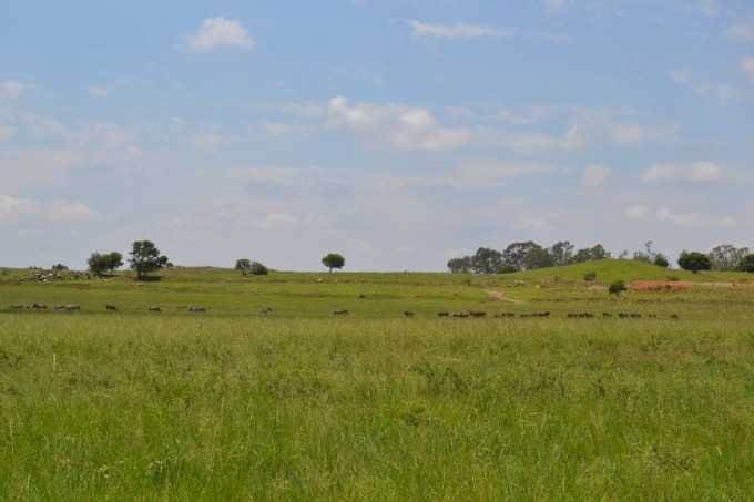 7135 m² Land available in Sterkfontein and surrounds photo number 17