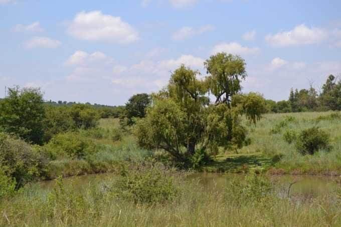 7135 m² Land available in Sterkfontein and surrounds photo number 13