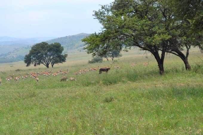 7135 m² Land available in Sterkfontein and surrounds photo number 24