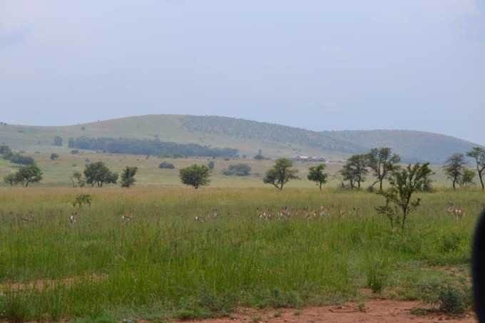 7135 m² Land available in Sterkfontein and surrounds photo number 23
