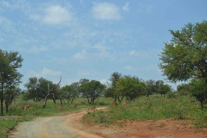 7135 m² Land available in Sterkfontein and surrounds photo number 14