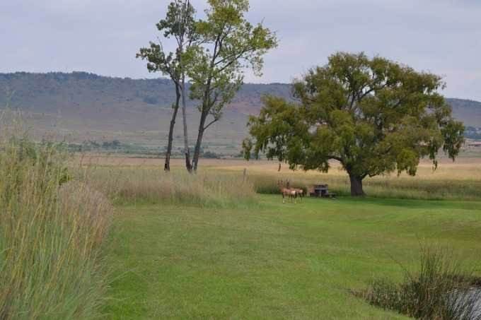 7135 m² Land available in Sterkfontein and surrounds photo number 29