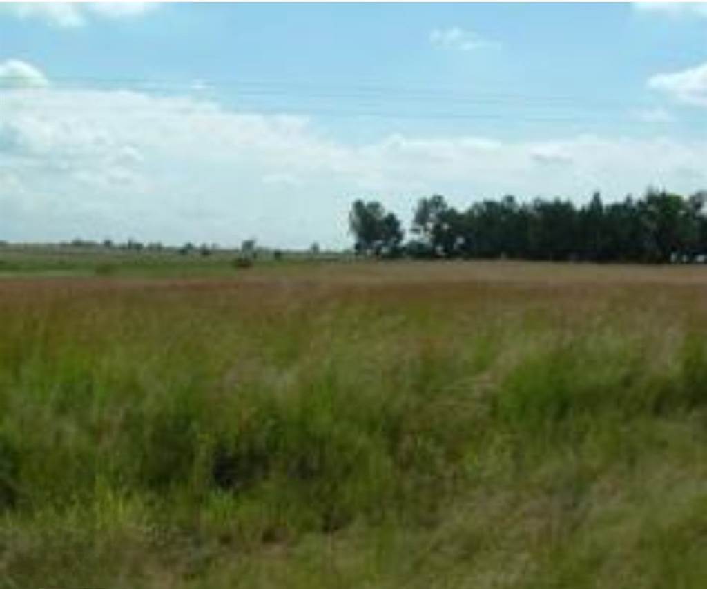 1500 m² Land available in Bethal photo number 2