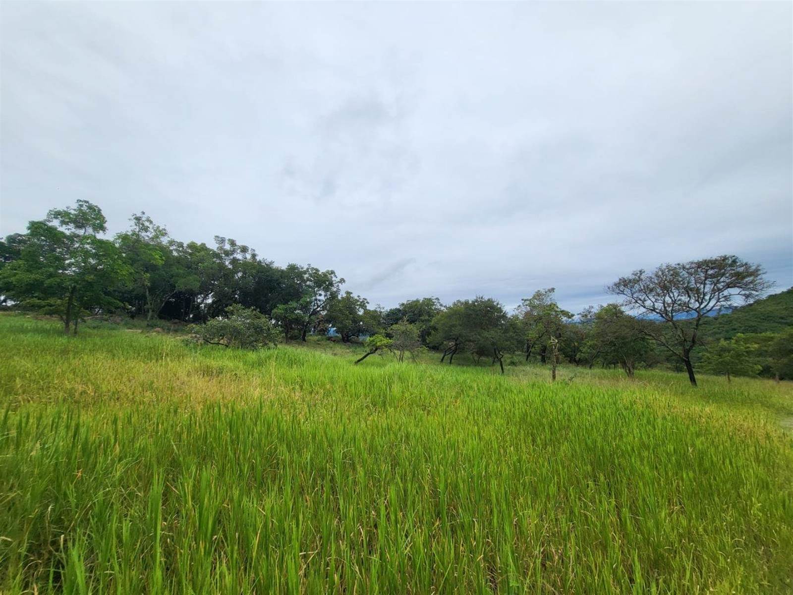 1439 m² Land available in The Rest Nature Estate photo number 3