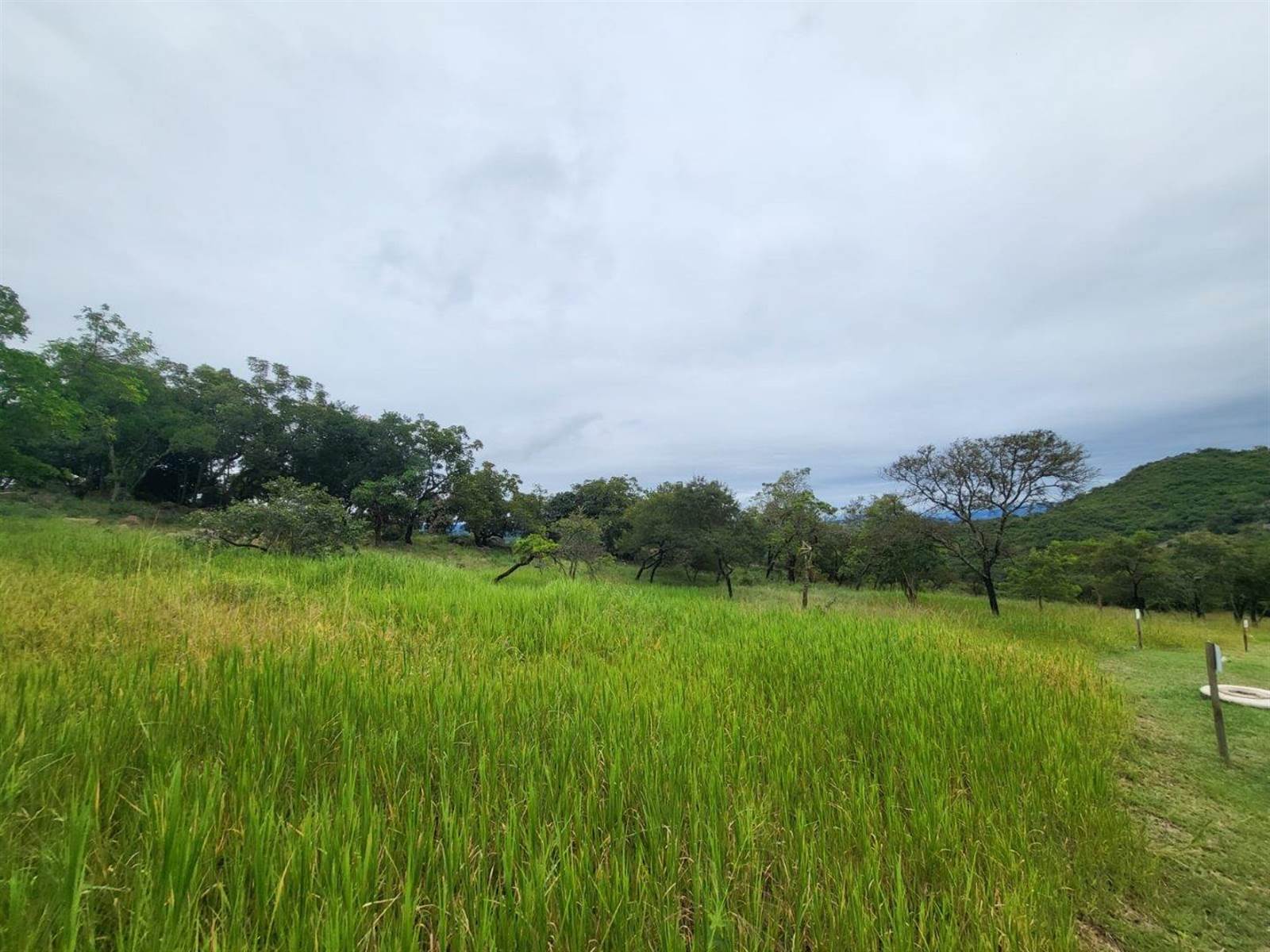 1439 m² Land available in The Rest Nature Estate photo number 5