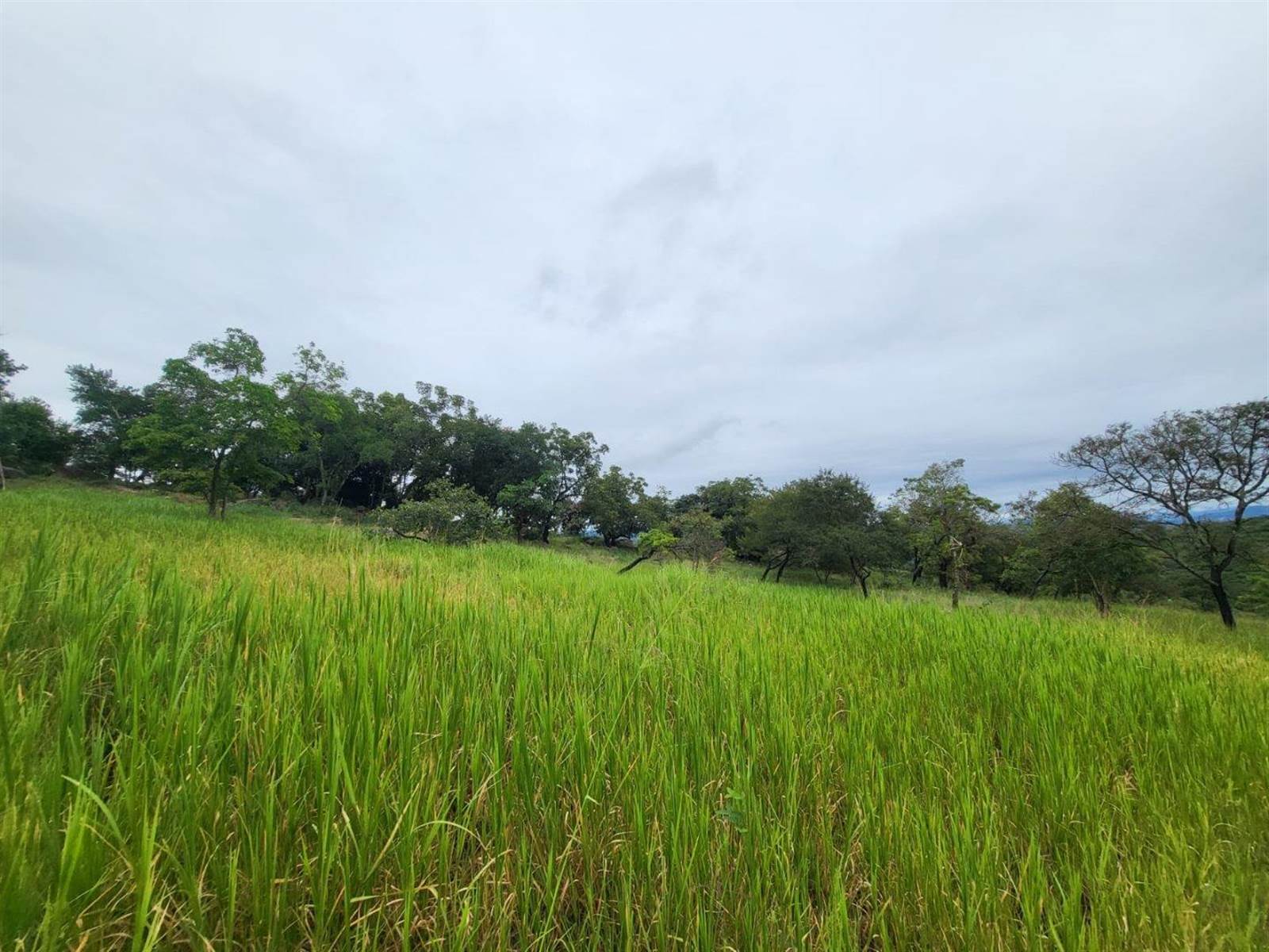 1439 m² Land available in The Rest Nature Estate photo number 8