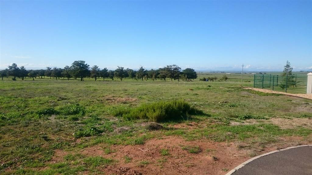 921 m² Land available in Darling photo number 2