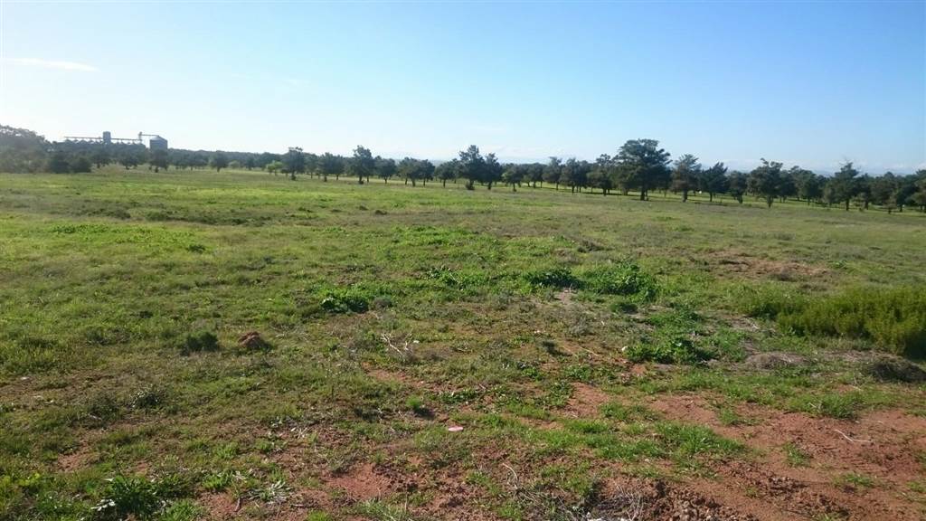 921 m² Land available in Darling photo number 3
