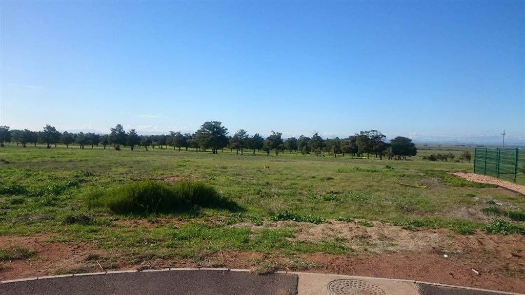 921 m² Land available in Darling photo number 4