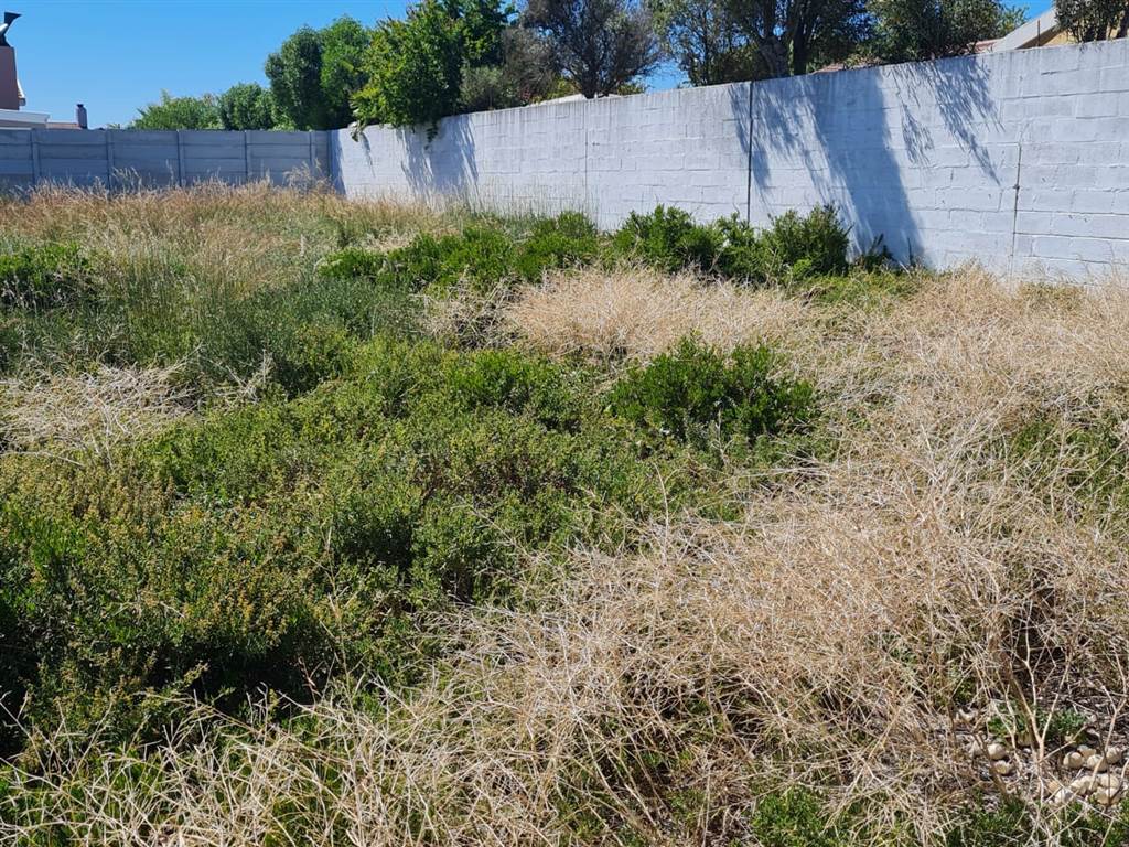 620 m² Land available in Port Owen photo number 11