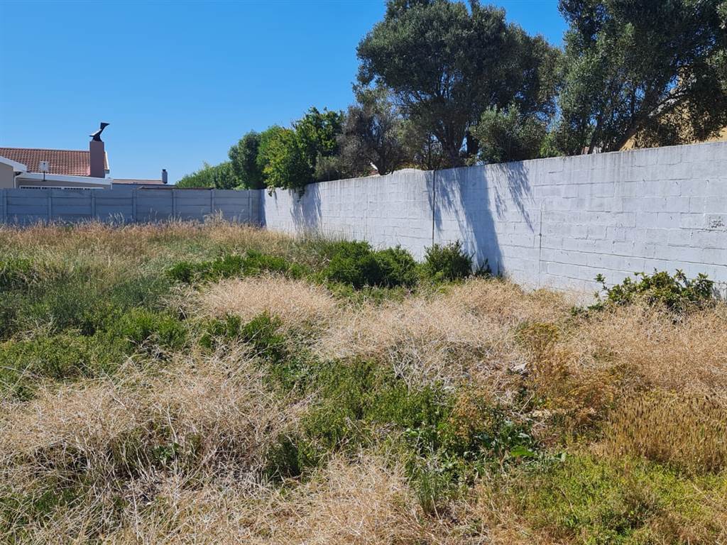 620 m² Land available in Port Owen photo number 7