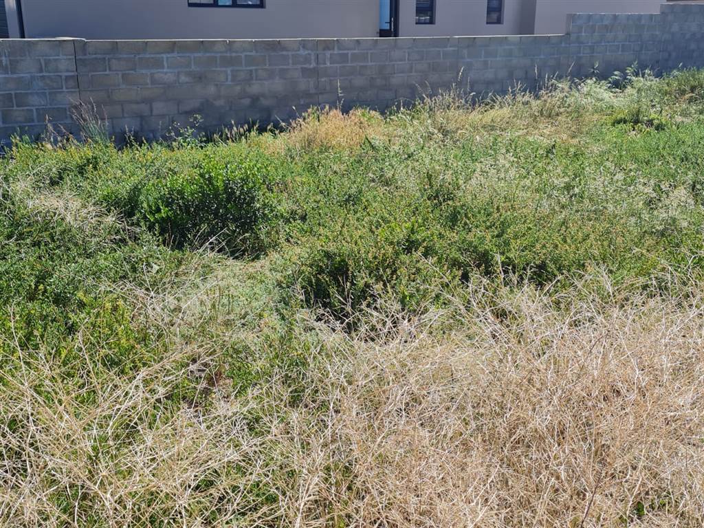 620 m² Land available in Port Owen photo number 10