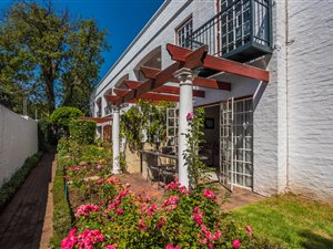 1 Bed Apartment in Saxonwold