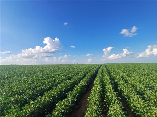 459 ha Farm 459 ha Farm