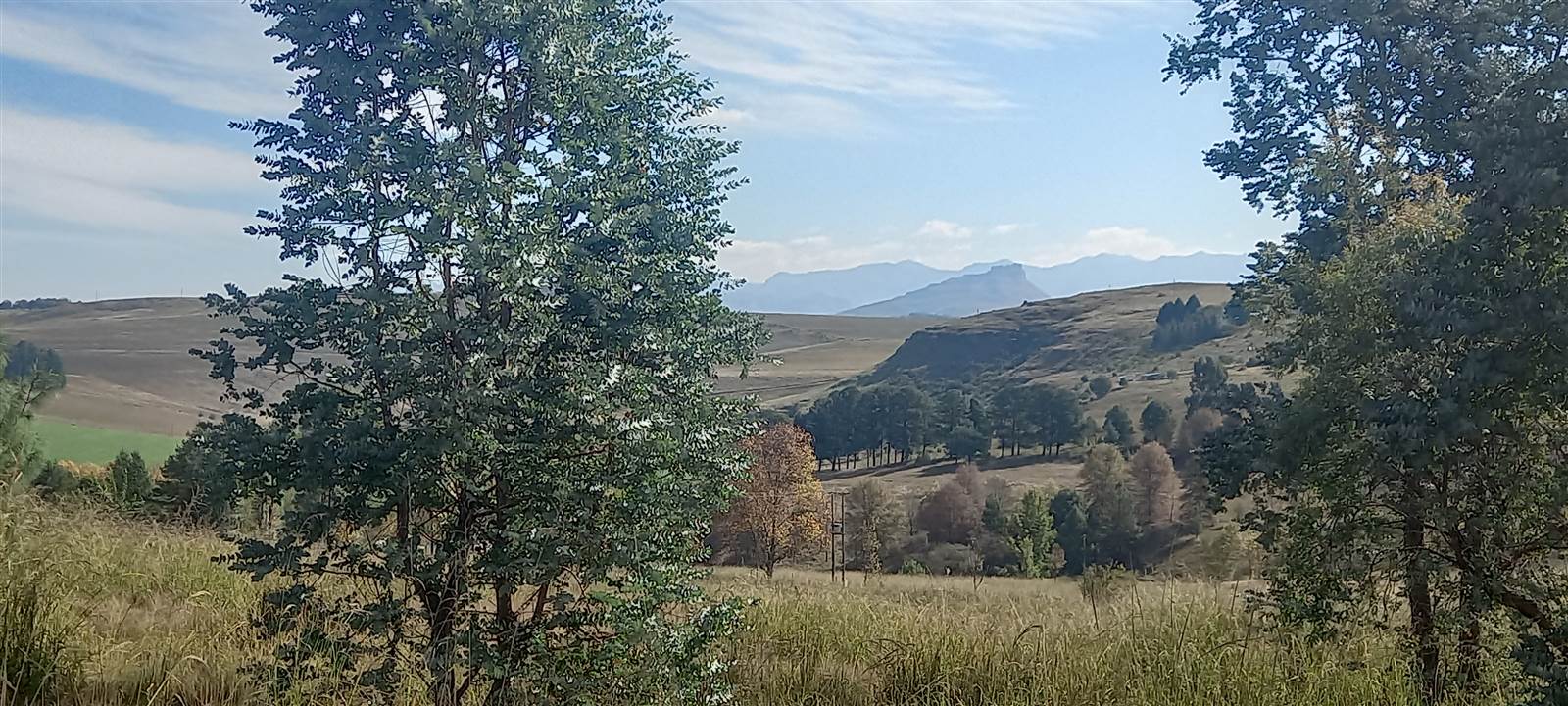 3224 m² Land available in Underberg photo number 7