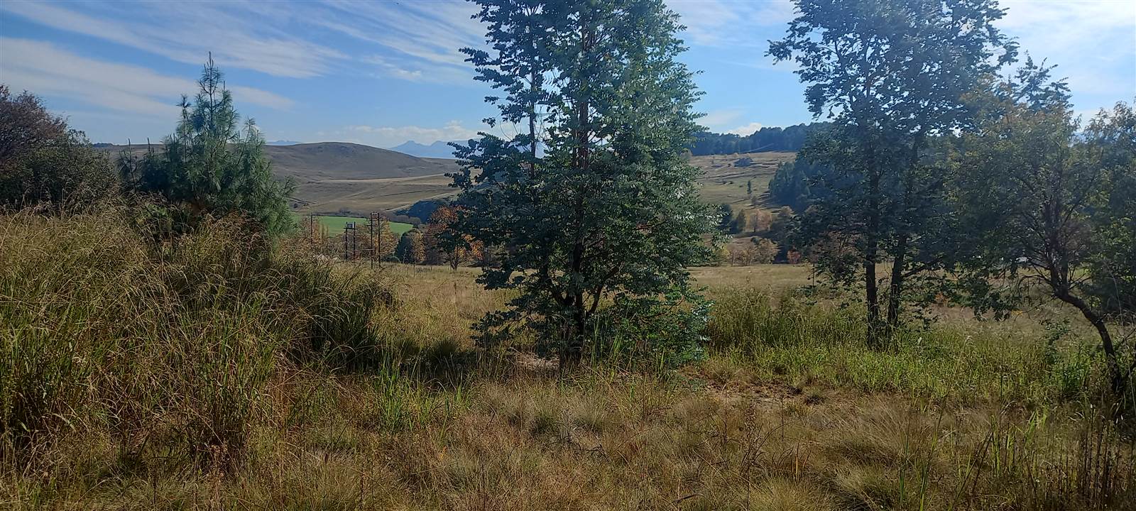 3224 m² Land available in Underberg photo number 4