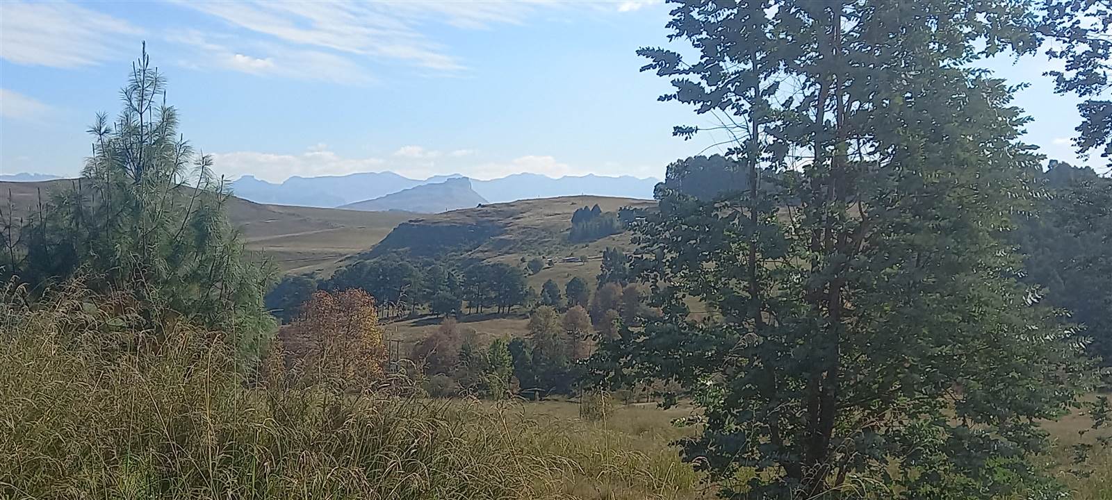 3224 m² Land available in Underberg photo number 5