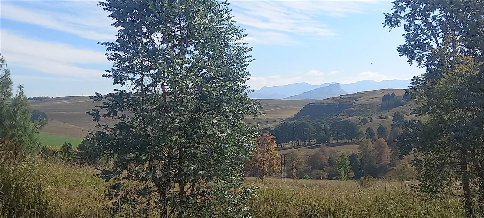 3224 m² Land available in Underberg photo number 8
