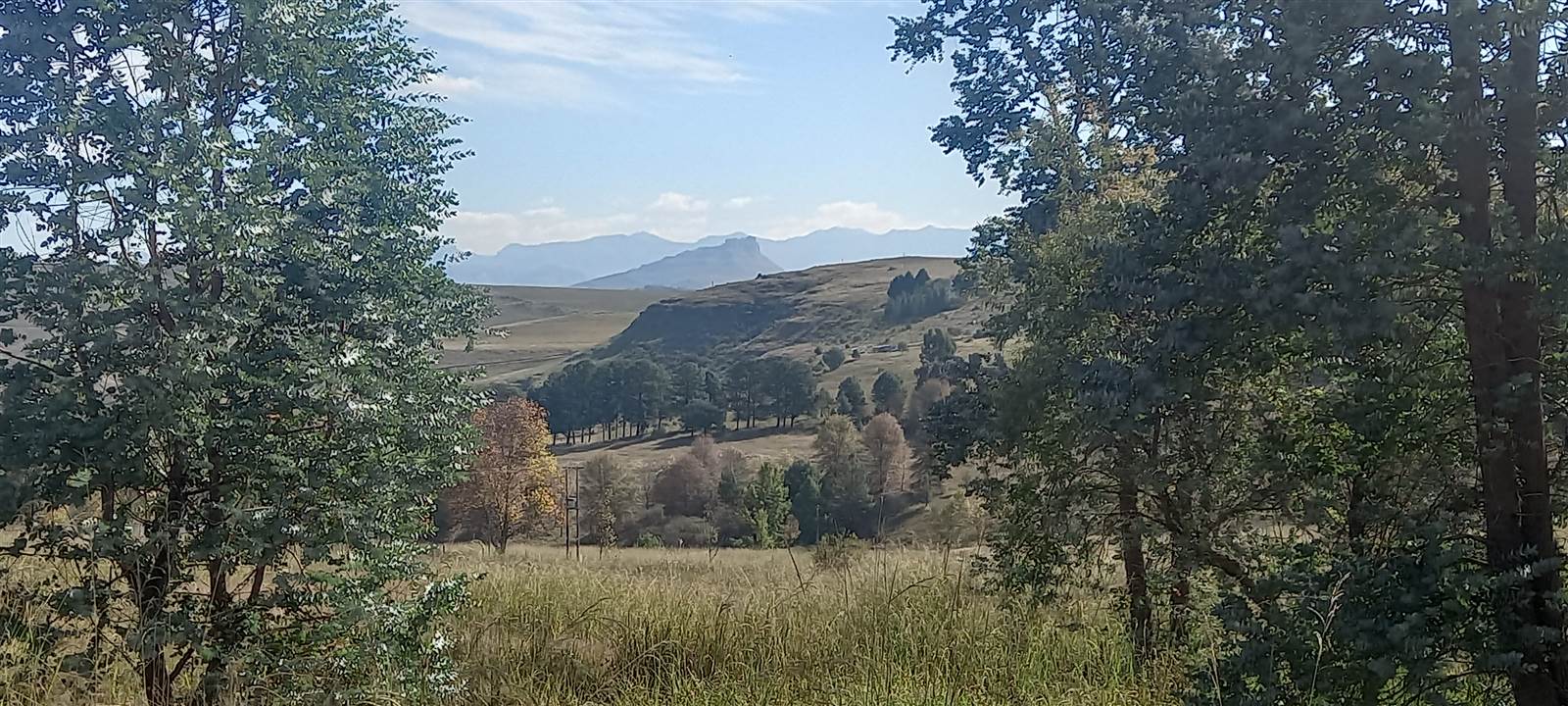 3224 m² Land available in Underberg photo number 6